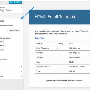 Email Customizer